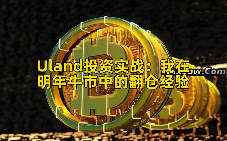 Uland投资实战：我在明年牛市中的翻仓经验