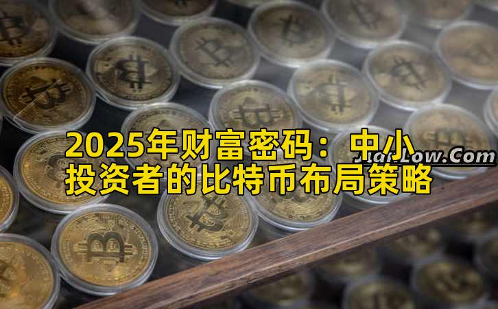 2025年财富密码：中小投资者的比特币布局策略