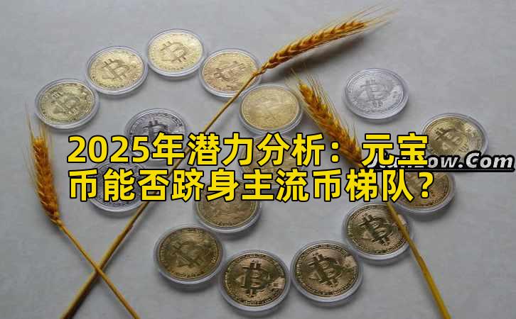 2025年潜力分析：元宝币能否跻身主流币梯队？