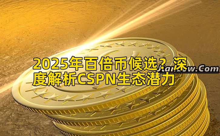 2025年百倍币候选？深度解析CSPN生态潜力