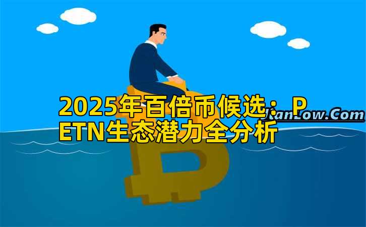 2025年百倍币候选：PETN生态潜力全分析