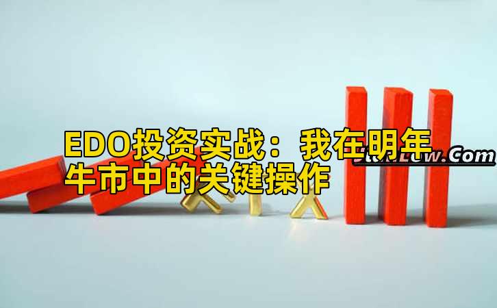 EDO投资实战:我在明年牛市中的关键操作