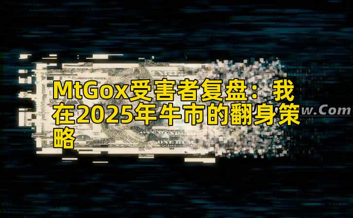 MtGox受害者复盘:我在2025年牛市的翻身策略