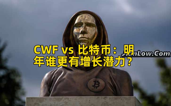CWF vs 比特币：明年谁更有增长潜力？