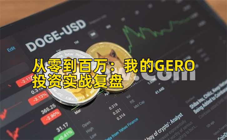 2026年行情分析：我的GERO投资实战复盘