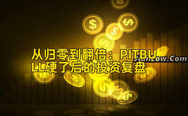 从归零到翻倍:PITBULL硬了后的投资复盘
