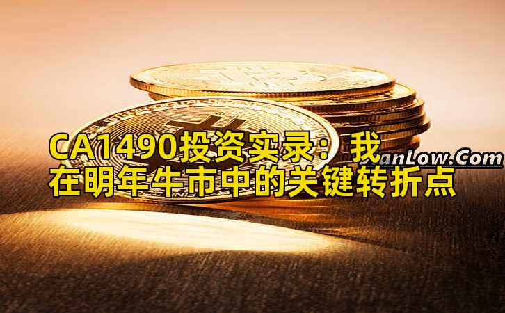 CA1490投资实录：我在明年牛市中的关键转折点