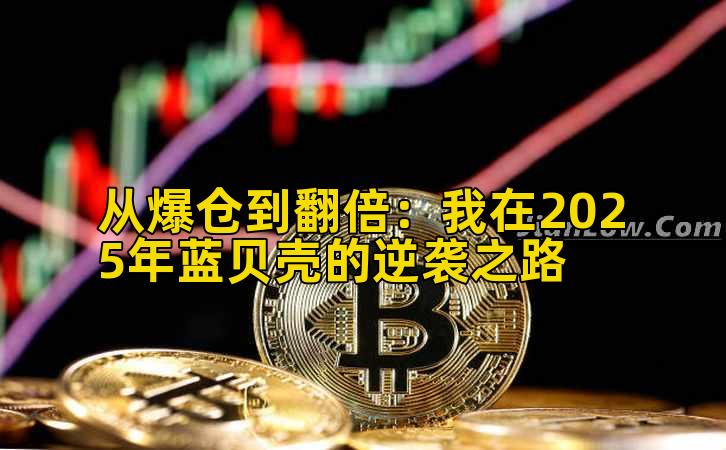 从爆仓到翻倍：我在2025年蓝贝壳的逆袭之路