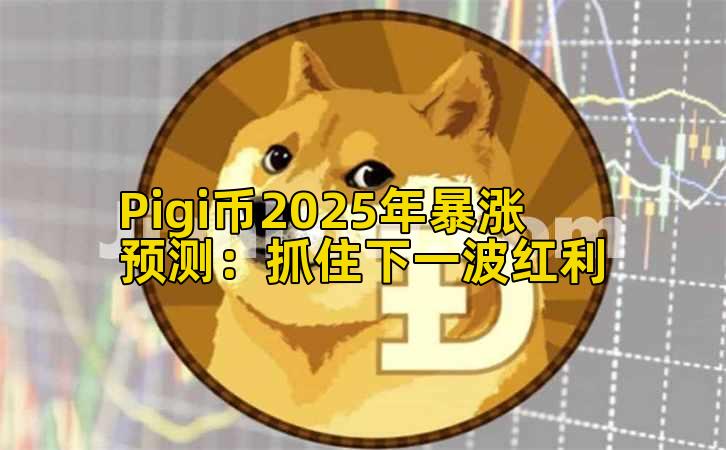 Pigi币2025年暴涨预测：抓住下一波红利