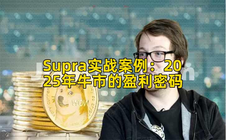 Supra实战案例：2025年牛市的盈利密码