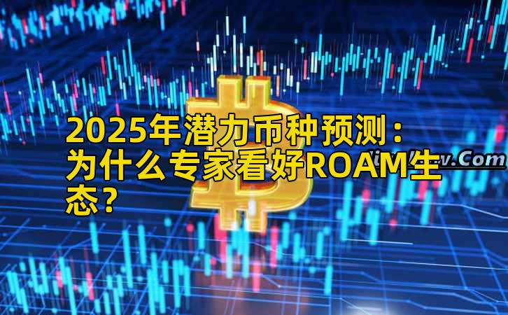 2025年潜力币种预测：为什么专家看好ROAM生态？