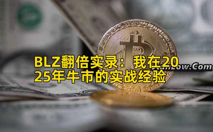 BLZ翻倍实录：我在2025年牛市的实战经验