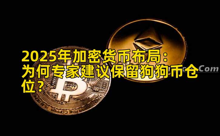 2025年加密货币布局：为何专家建议保留狗狗币仓位？