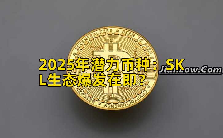 2025年潜力币种：SKL生态爆发在即？