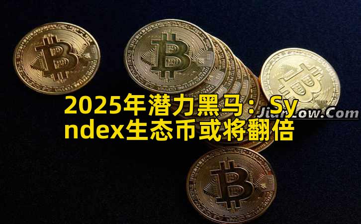 2025年潜力黑马：Syndex生态币或将翻倍