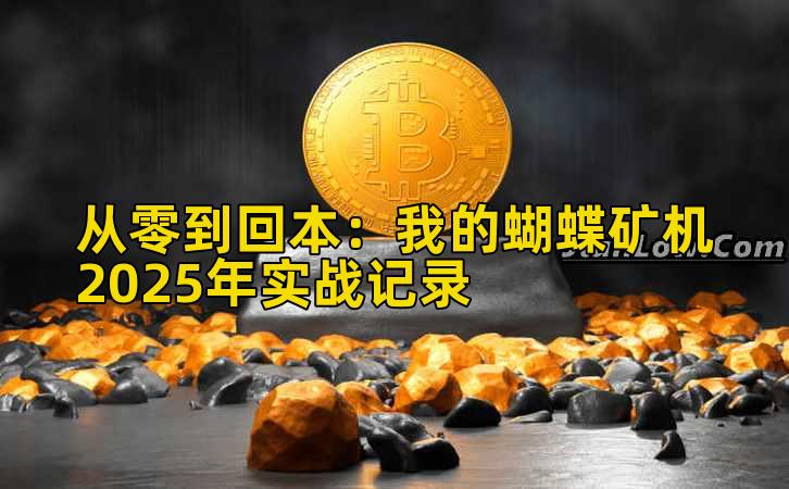 从零到回本：我的蝴蝶矿机2025年实战记录