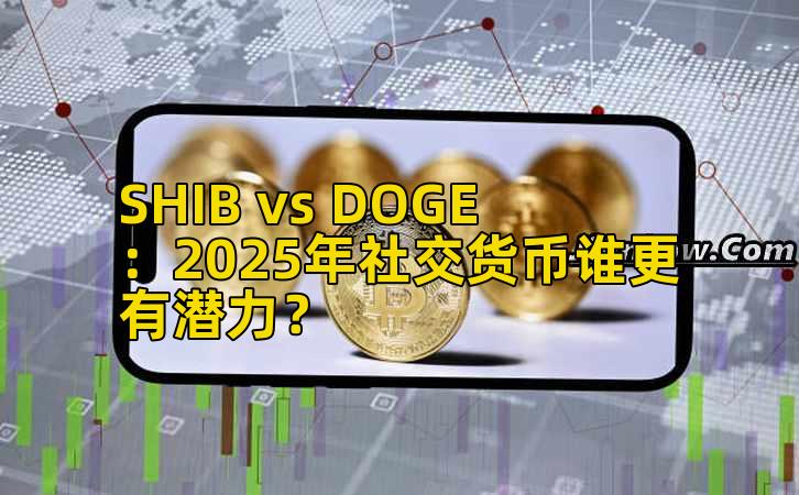 SHIB vs DOGE：2025年社交货币谁更有潜力？