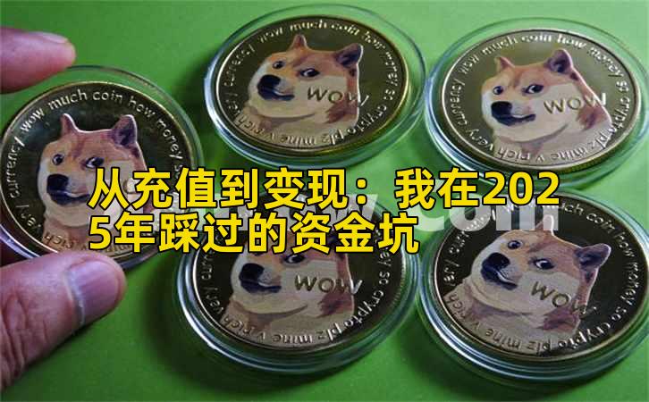 从充值到变现：我在2025年踩过的资金坑