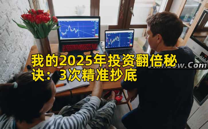 我的2025年投资收益增长秘诀:3次精准抄底