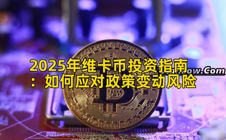 2025年维卡币投资指南：如何应对政策变动风险