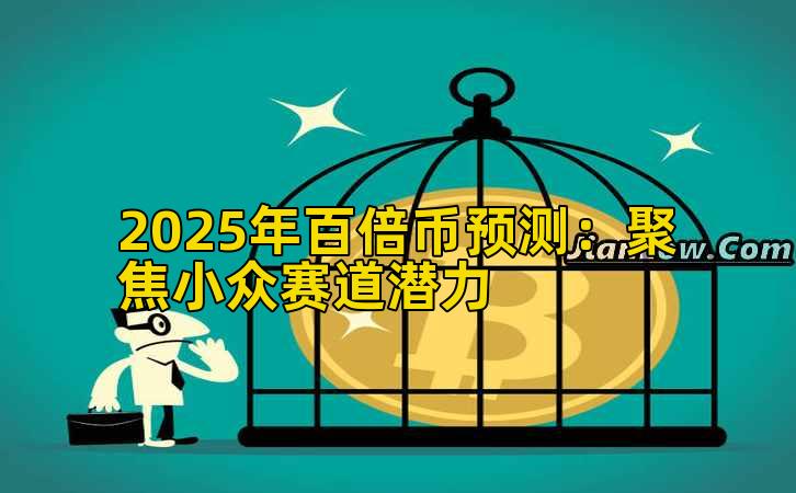 2025年百倍币预测：聚焦小众赛道潜力