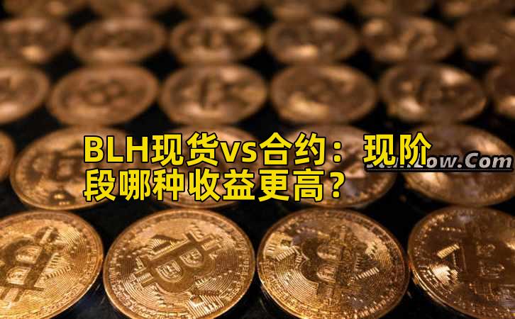 BLH现货vs合约：现阶段哪种收益更高？