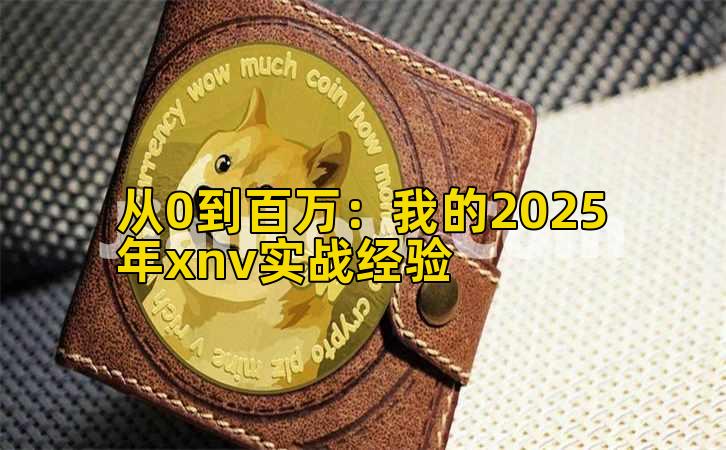 从0到百万：我的2025年xnv实战经验