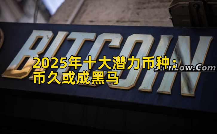 2025年十大潜力币种：币久或成黑马