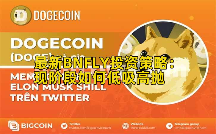 最新BNFLY投资策略:现阶段如何低吸高抛