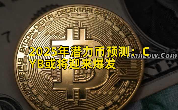 2025年潜力币预测：CYB或将迎来爆发