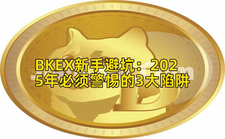 BKEX新手避坑：2025年必须警惕的3大陷阱