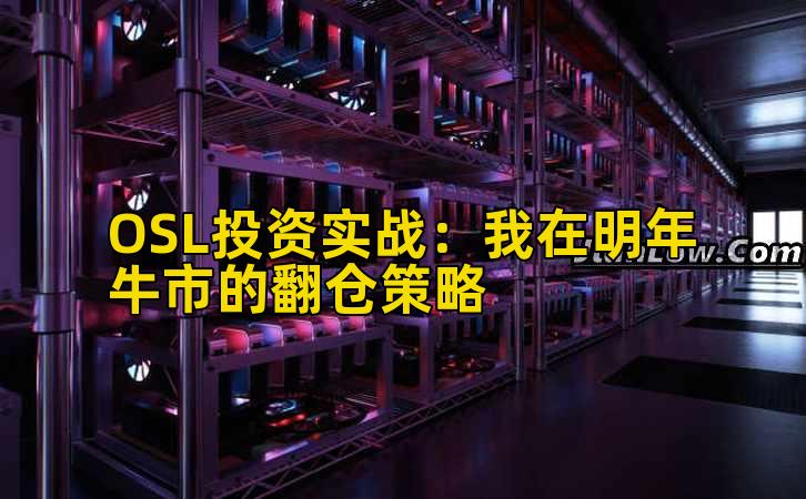 OSL投资实战：我在明年牛市的翻仓策略