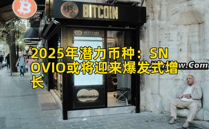 2025年潜力币种：SNOVIO或将迎来爆发式增长
