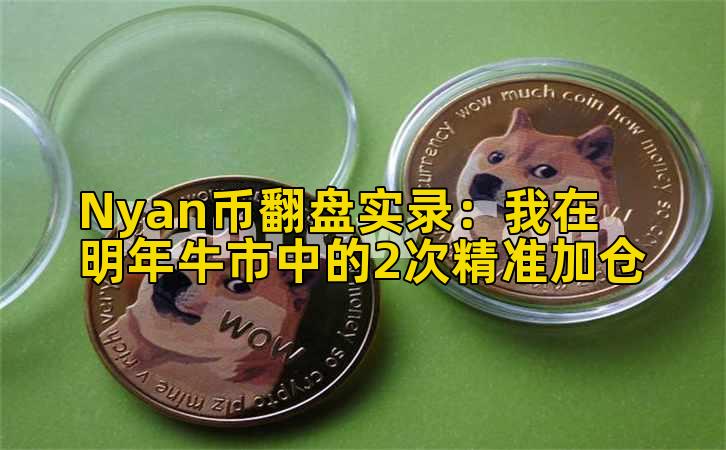 Nyan币翻盘实录：我在明年牛市中的2次精准加仓