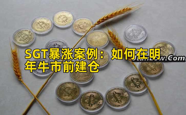 SGT暴涨案例：如何在明年牛市前建仓