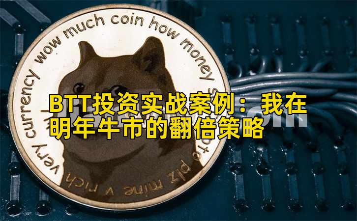 BTT投资实战案例：我在明年牛市的翻倍策略