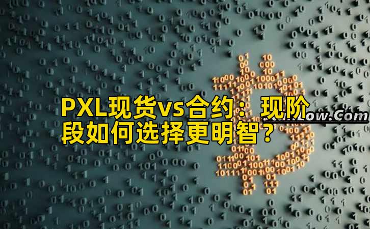 PXL现货vs合约：现阶段如何选择更明智？