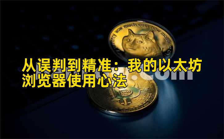 从误判到精准：我的以太坊浏览器使用心法