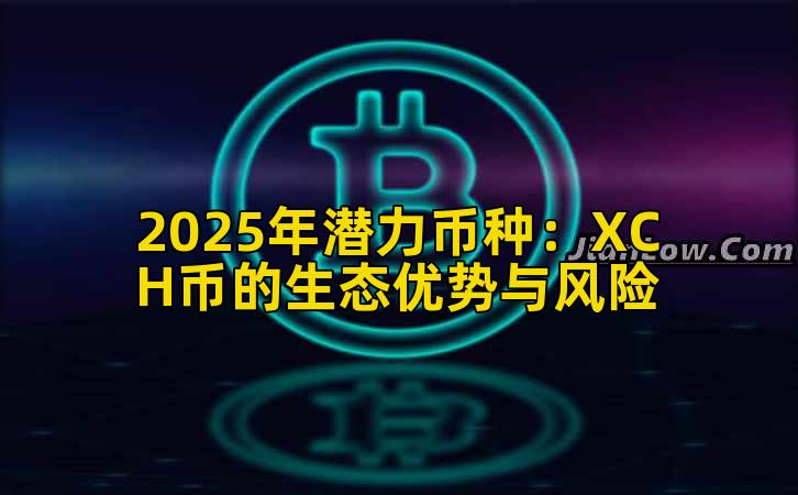 2025年潜力币种：XCH币的生态优势与风险