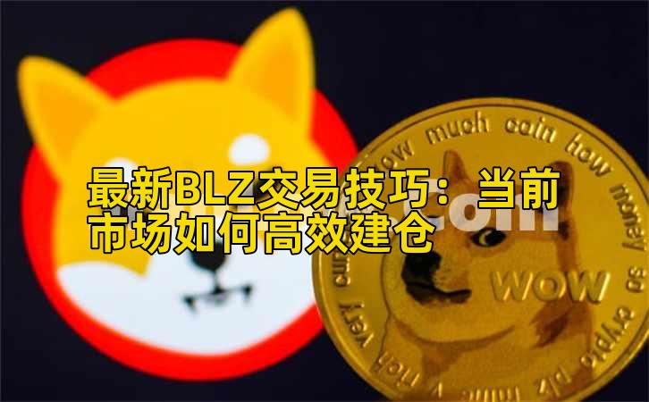 最新BLZ交易技巧:当前市场如何高效建仓