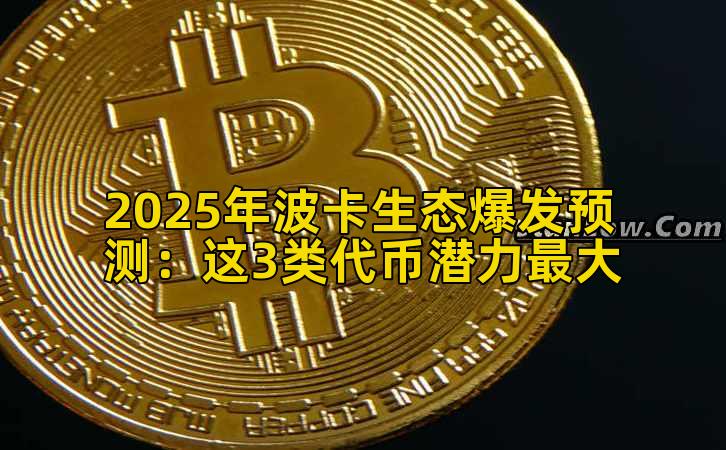2025年波卡生态爆发预测：这3类代币潜力最大