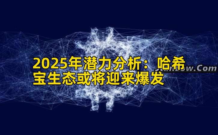 2025年潜力分析：哈希宝生态或将迎来爆发