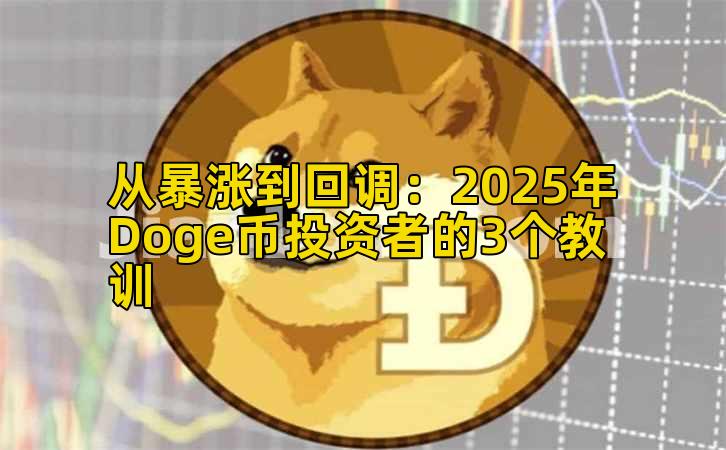 从暴涨到回调：2025年Doge币投资者的3个教训