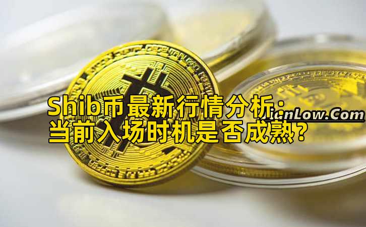 Shib币最新行情分析：当前入场时机是否成熟？