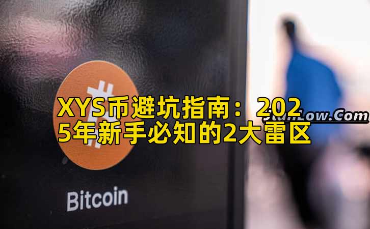 XYS币避坑指南:2025年新手必知的2大雷区