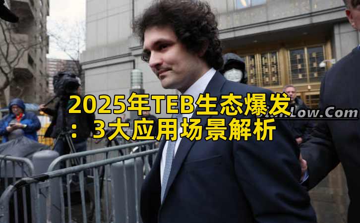 2025年TEB生态爆发：3大应用场景解析