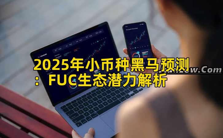 2025年小币种黑马预测：FUC生态潜力解析