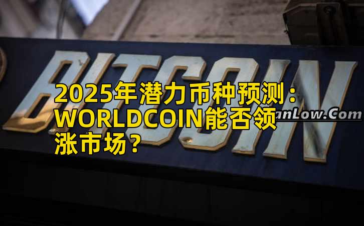 2025年潜力币种预测：WORLDCOIN能否领涨市场？