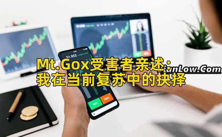 Mt.Gox受害者亲述:我在当前复苏中的抉择