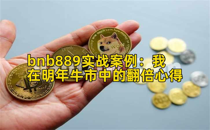 bnb889实战案例:我在明年牛市中的翻倍心得
